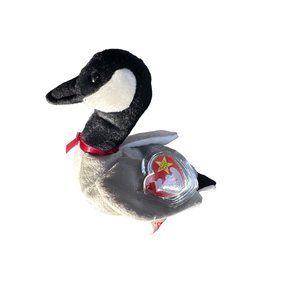 Vintage TY Loosy the Beanie babies collection